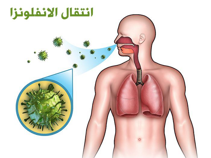 فيروس الانفلونزا ينتقل عبر جهاز التنفس