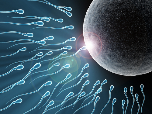 Infertility in women and men, its causes and treatment